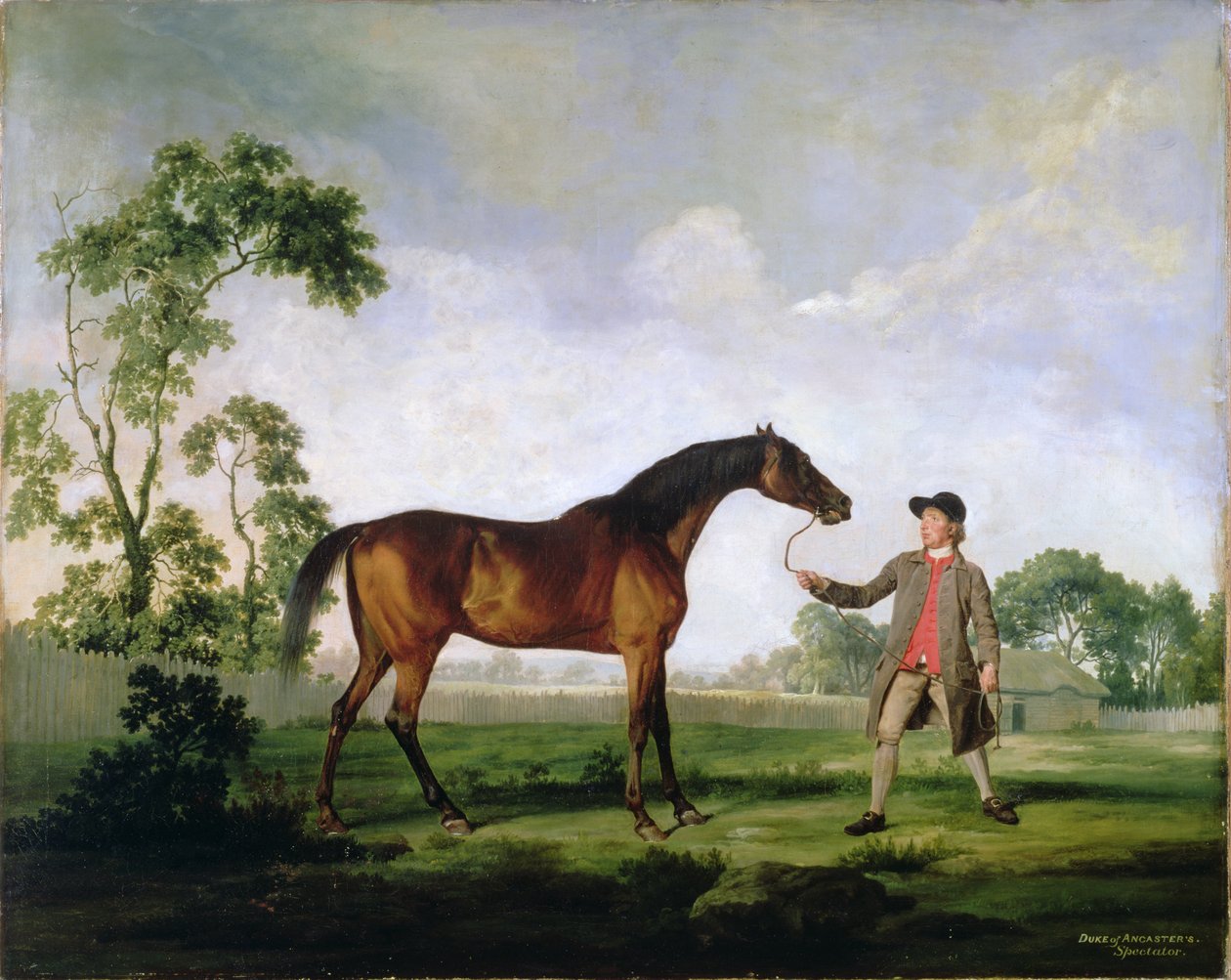 Ancasterin herttuan lahden ori Spectator, sulhanen hallussa, n. 1762-5 tekijältä George Stubbs