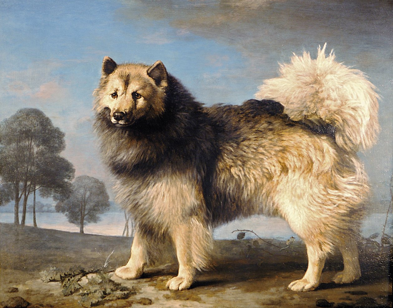 Turk, 1778 tekijältä George Stubbs