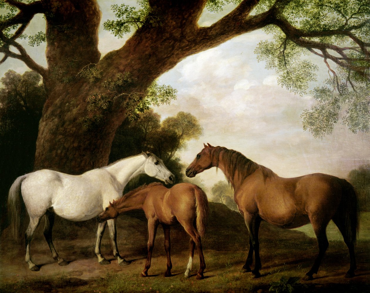 Dalawang Shafto Mares at isang Foal, 1774 finn tekijältä George Stubbs
