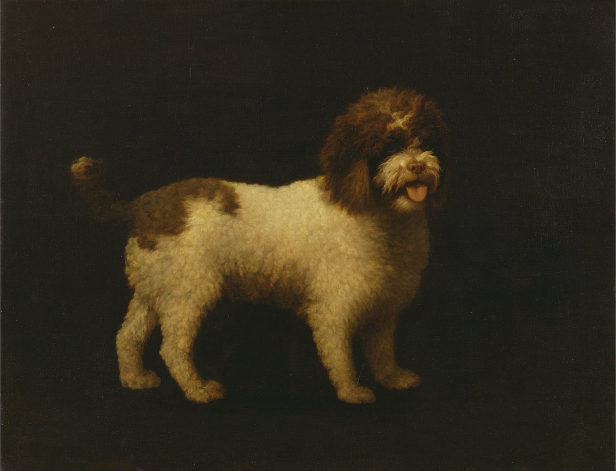 Vesispanieli tekijältä George Stubbs