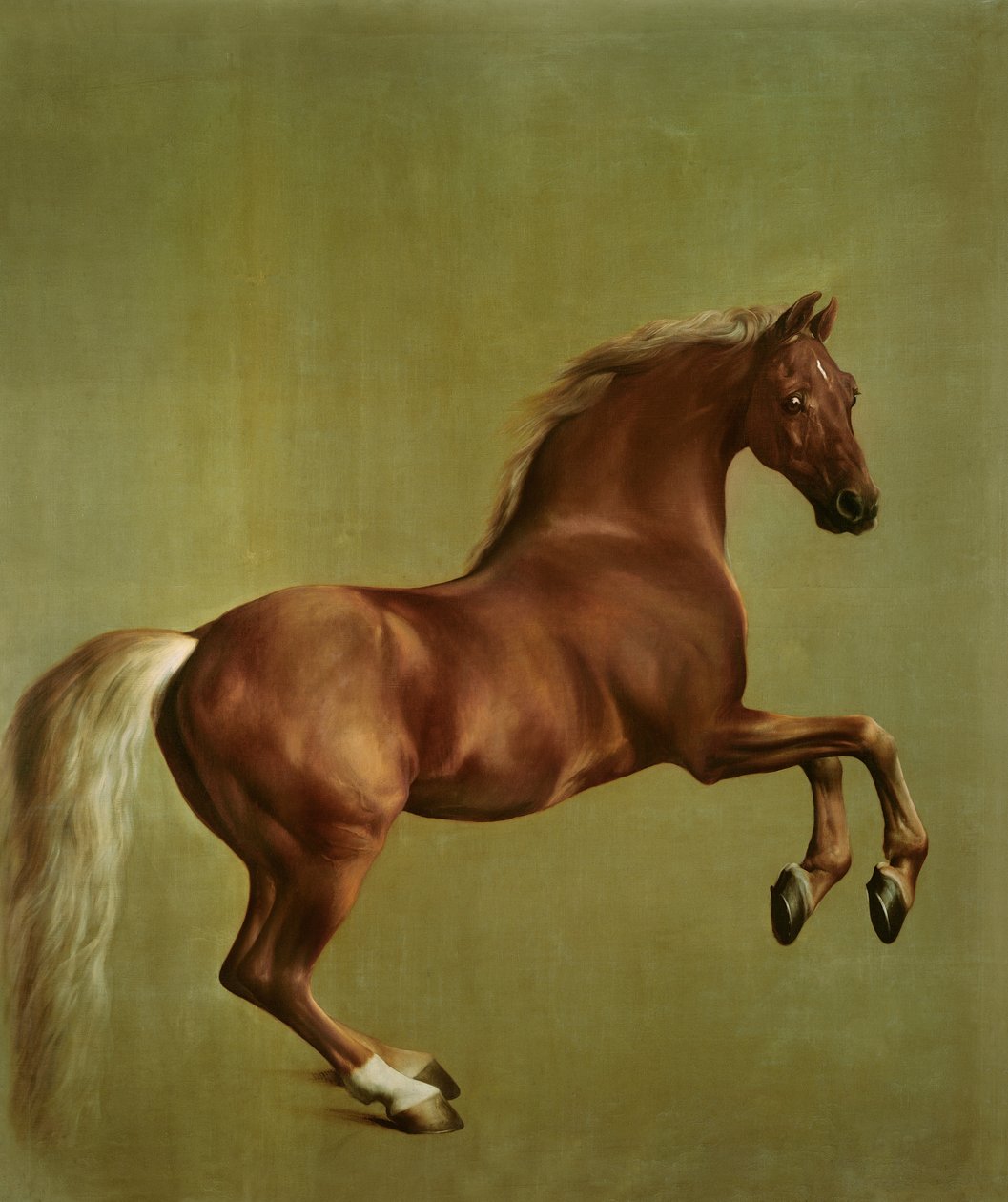 Pillipaita, 1762 tekijältä George Stubbs