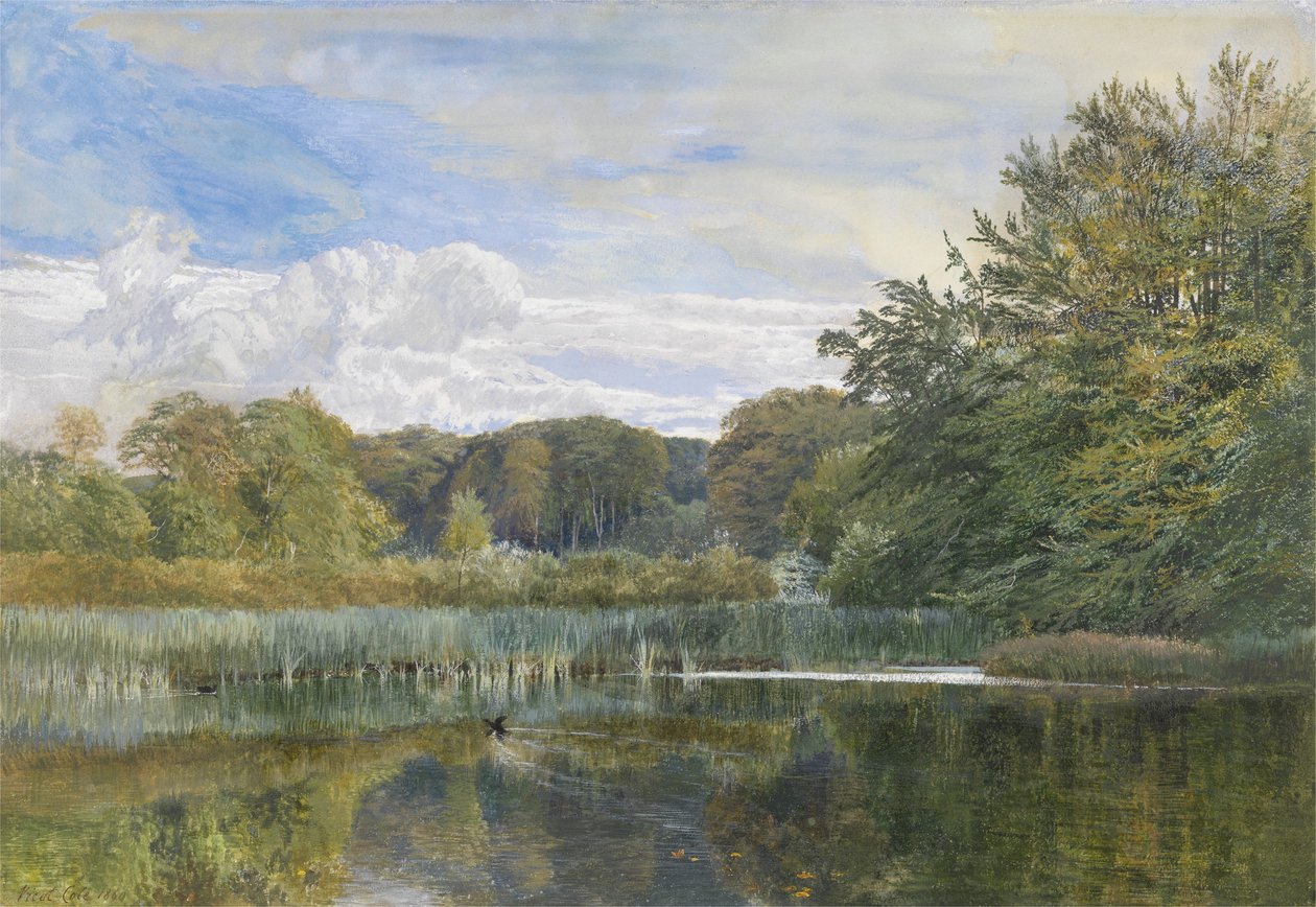 Mill Pond, Evelyn Woods, 1860 tekijältä George Vicat Cole