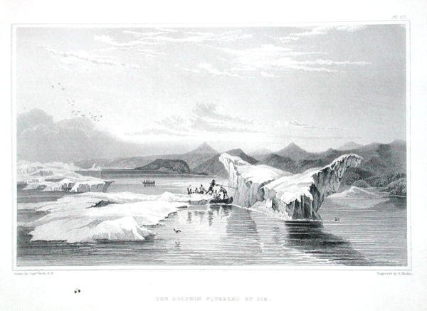 Jään puristama delfiini, Sir John Franklinin (1786-1847) Tarina matkasta Napameren rannoille vuosina 1819-22, kaiverrettu Edward Finden (1791-1857), julkaistu 1823-28 (väri) kaiverrus) tekijältä George (after) Back