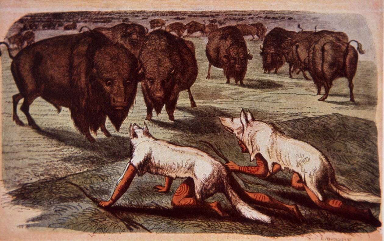 Pohjois-Amerikan tasangon intiaanit hiipivät laiduntaville puhveleille sudennahkojen päällä, n. 1840 (väri litho) tekijältä George (after) Catlin