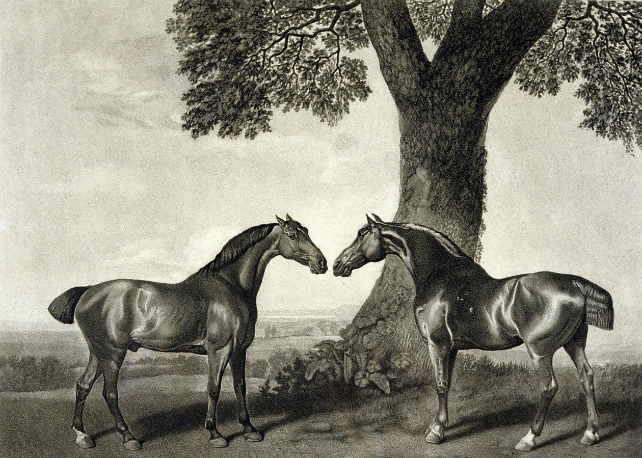 Kaksi metsästäjää, kaiverrus G.T. Stubbs (bap.1748-c.1815) (litho) (katso myös 266802) tekijältä George (after) Stubbs