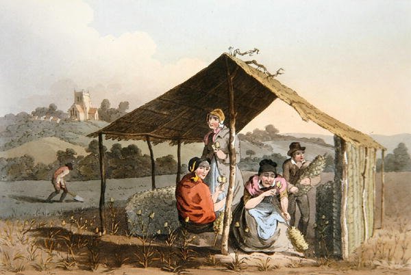 Teazle Field, teoksesta "Yorkshiren puku" kaiverrettu Robert Havell (1769-1832) 1814 (väri litho) tekijältä George (after) Walker