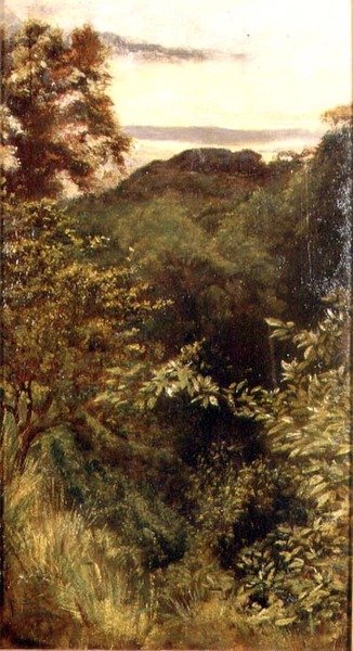 The Glen, Naworth, Cumbria (öljy paneelille) tekijältä George 9th Earl of Carlisle Howard