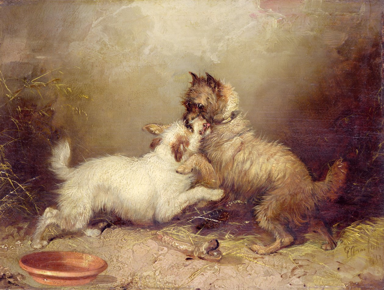  tekijältä George Armfield