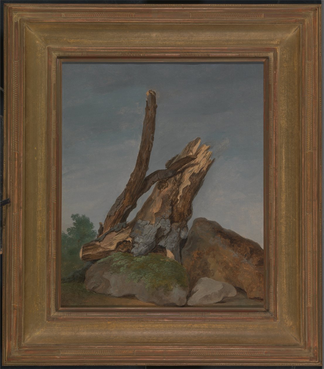 Kallioiden ja oksien tutkimus tekijältä George Augustus Wallis