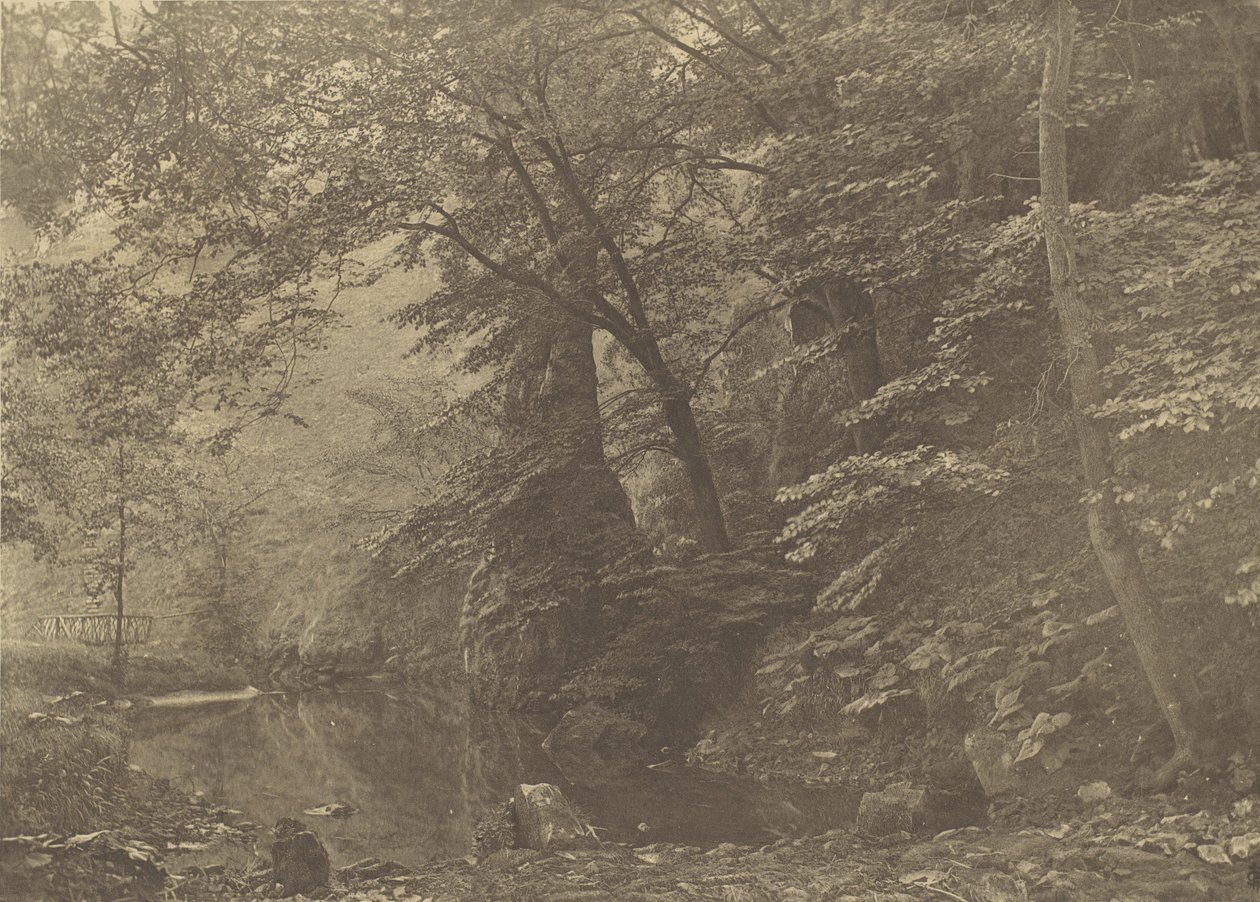 Pike Pool, 1880-luku, painettu 1888. tekijältä George Bankart