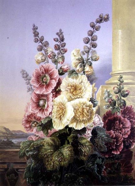 Hollyhocks (väri litho) tekijältä George Baxter
