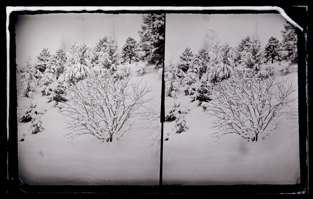 Prospect Park, Brooklyn, n. 1872–1887 (märkäkollodion negatiivinen) tekijältä George Bradford Brainerd