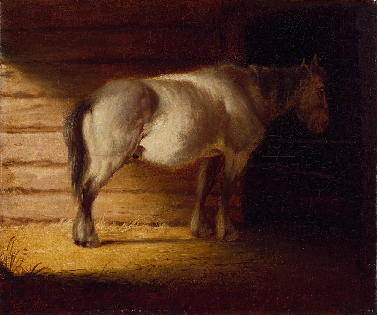Vanha peltohevonen, 1856 (öljy kankaalle) tekijältä George Caleb Bingham