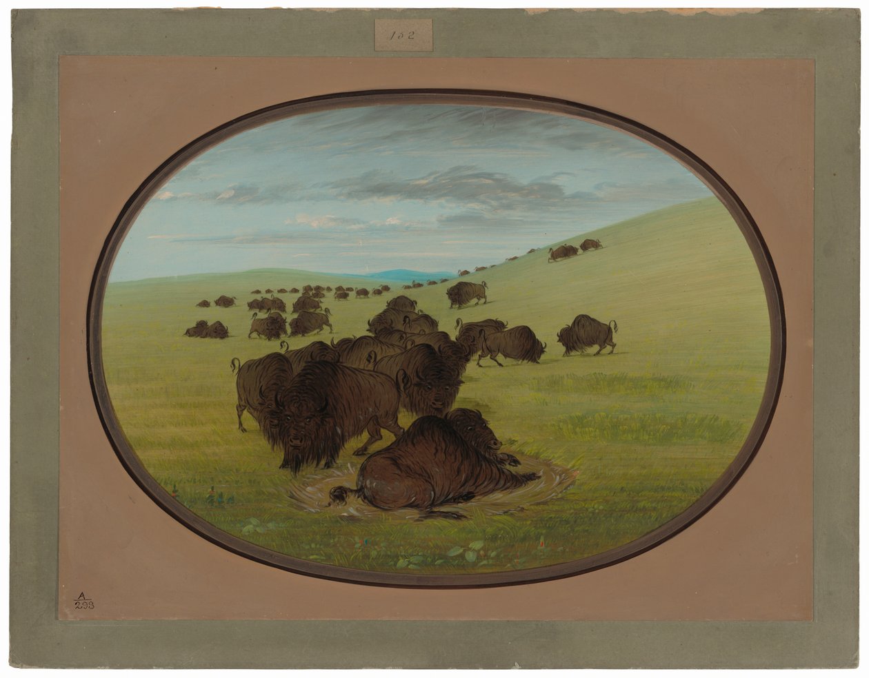 Buffalo Wallow tekijältä George Catlin