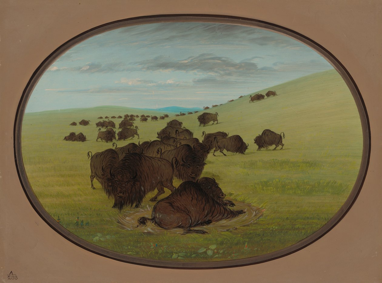 Buffalo Wallow, 18611869. tekijältä George Catlin