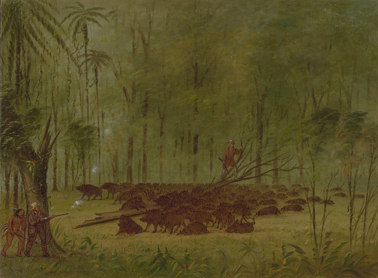 Taistelu pekkarien kanssa - Karibia, 18541869. tekijältä George Catlin
