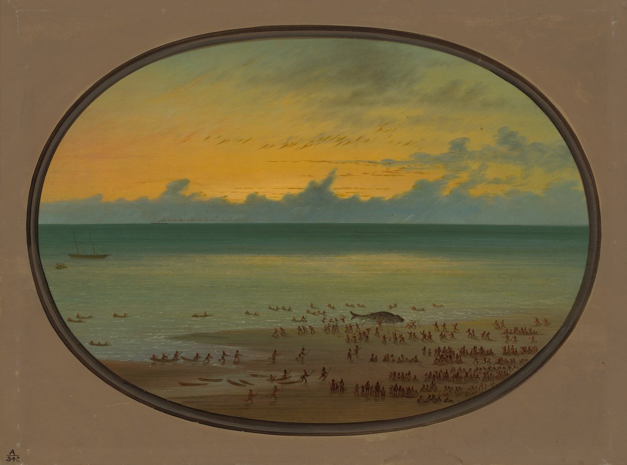 A Whale Ashore - Klahoquat, 18551869. tekijältä George Catlin