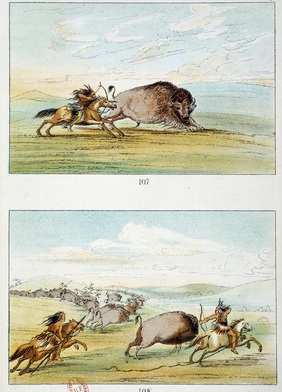 Amerikan intiaanit: piisonin metsästys. Kuvitus George Catlin (1794-1872) tekijältä George Catlin