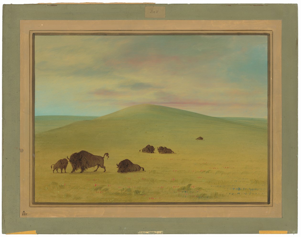 American Pasturage - Prairies of the Platte tekijältä George Catlin