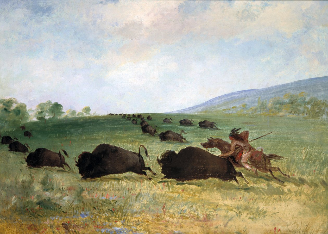 Osage-intiaanit lävistävät puhvelin tekijältä George Catlin