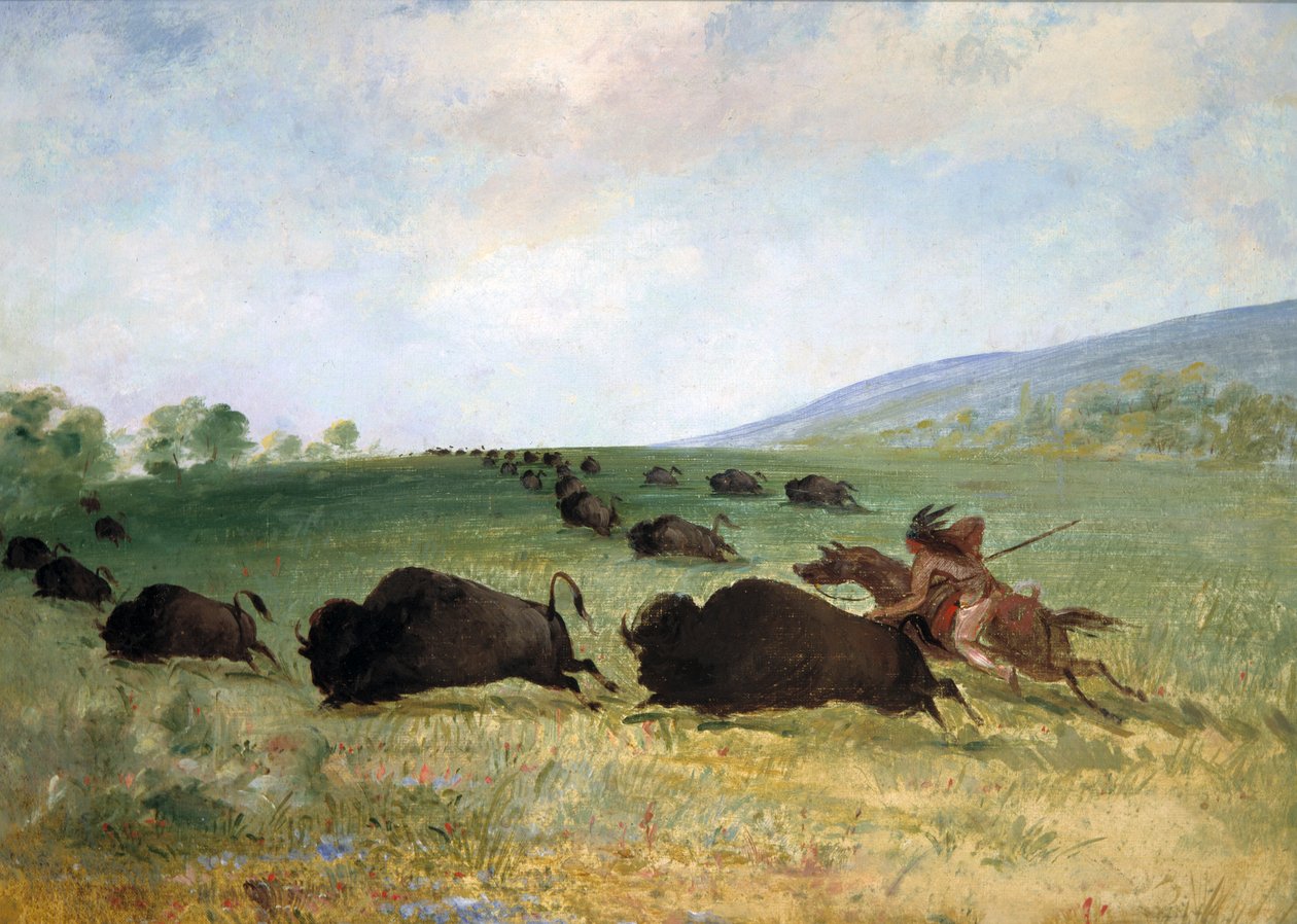 Osage-intiaani Lancing a Buffalo, 1846-1848. tekijältä George Catlin