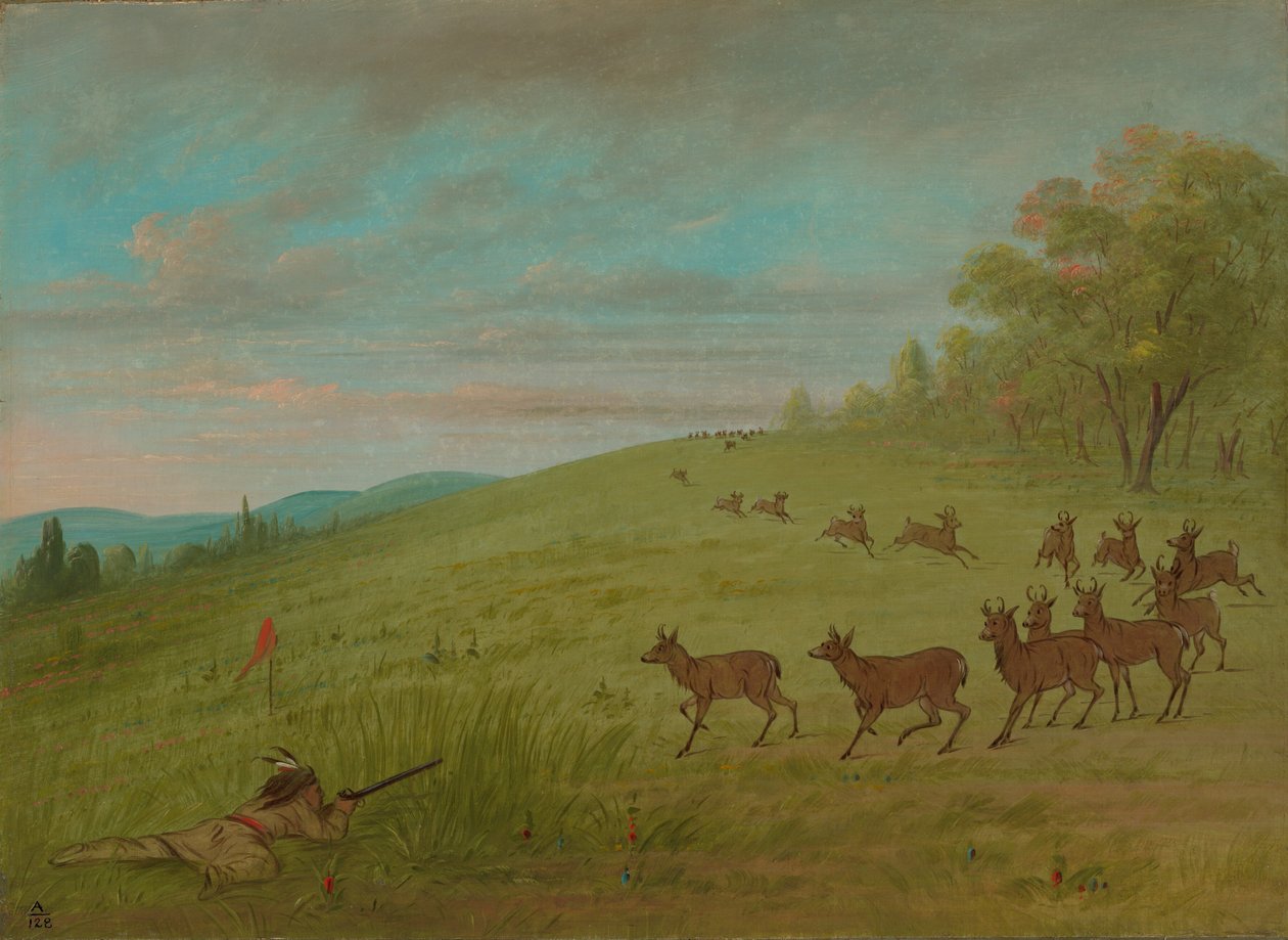 Antiloopin ammunta – Assinneboine, 18611869. tekijältä George Catlin