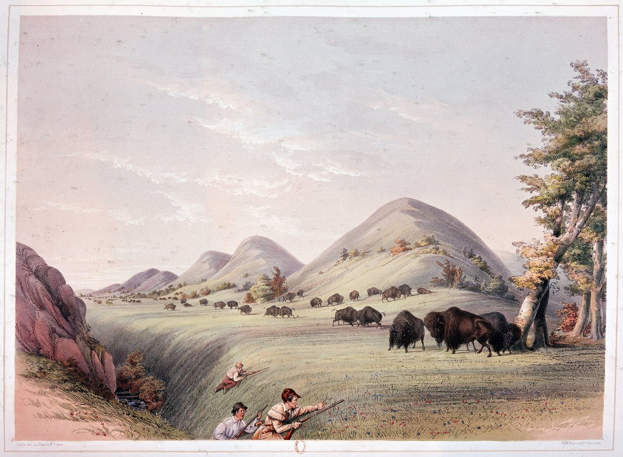 Bison Hunt tekijältä George Catlin