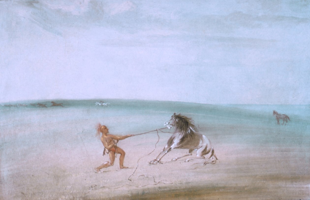 Villin hevosen hajottaminen tekijältä George Catlin