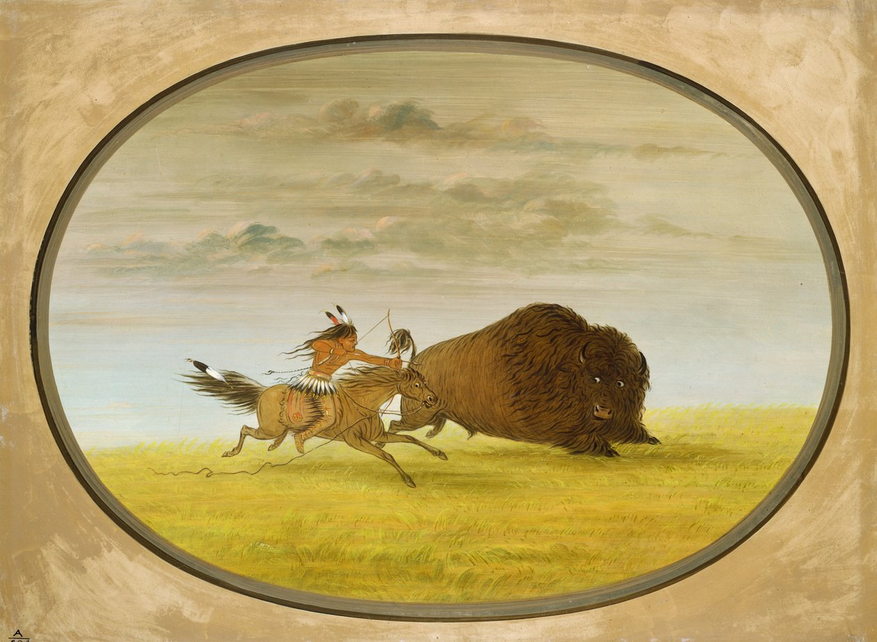 Buffalo Chase tekijältä George Catlin