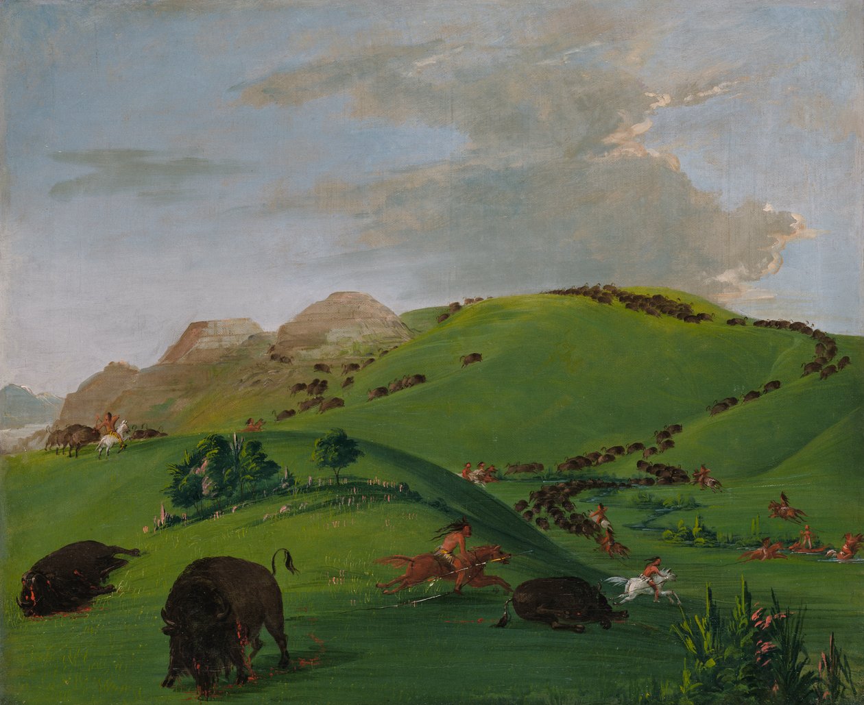 Buffalo Chase, Yellowstonen suu, 1832-1833. tekijältä George Catlin