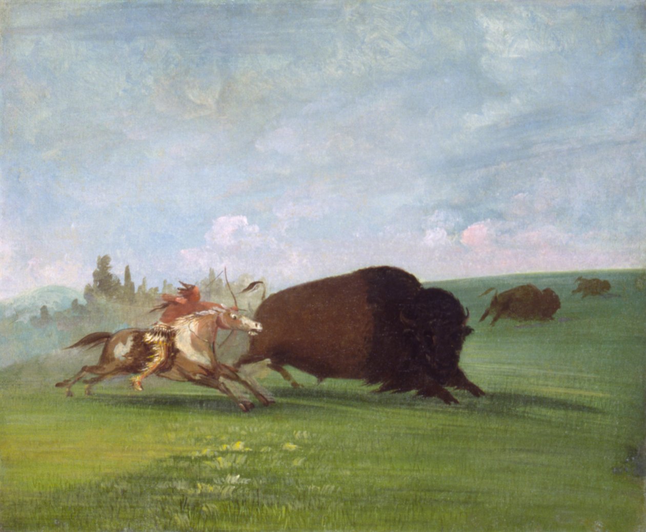 Buffalo Chase, yksittäinen kuolema, 1832-1833. tekijältä George Catlin