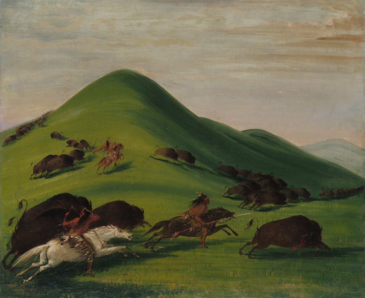 Buffalo Chase Prairie Bluffsin yllä tekijältä George Catlin