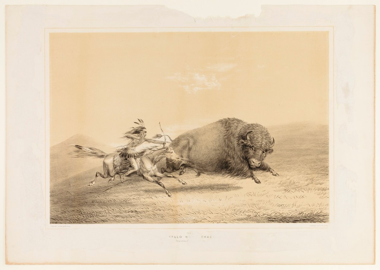 Buffalo Hunt, Chase... ei. 5 tekijältä George Catlin