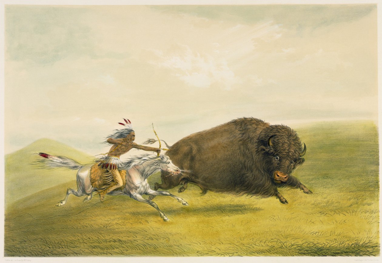 Buffalo Hunt Chase (värilitografia) tekijältä George Catlin