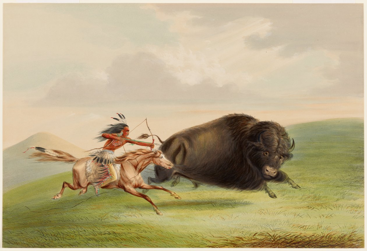 Puhvelinmetsästys, takaa-ajo tekijältä George Catlin