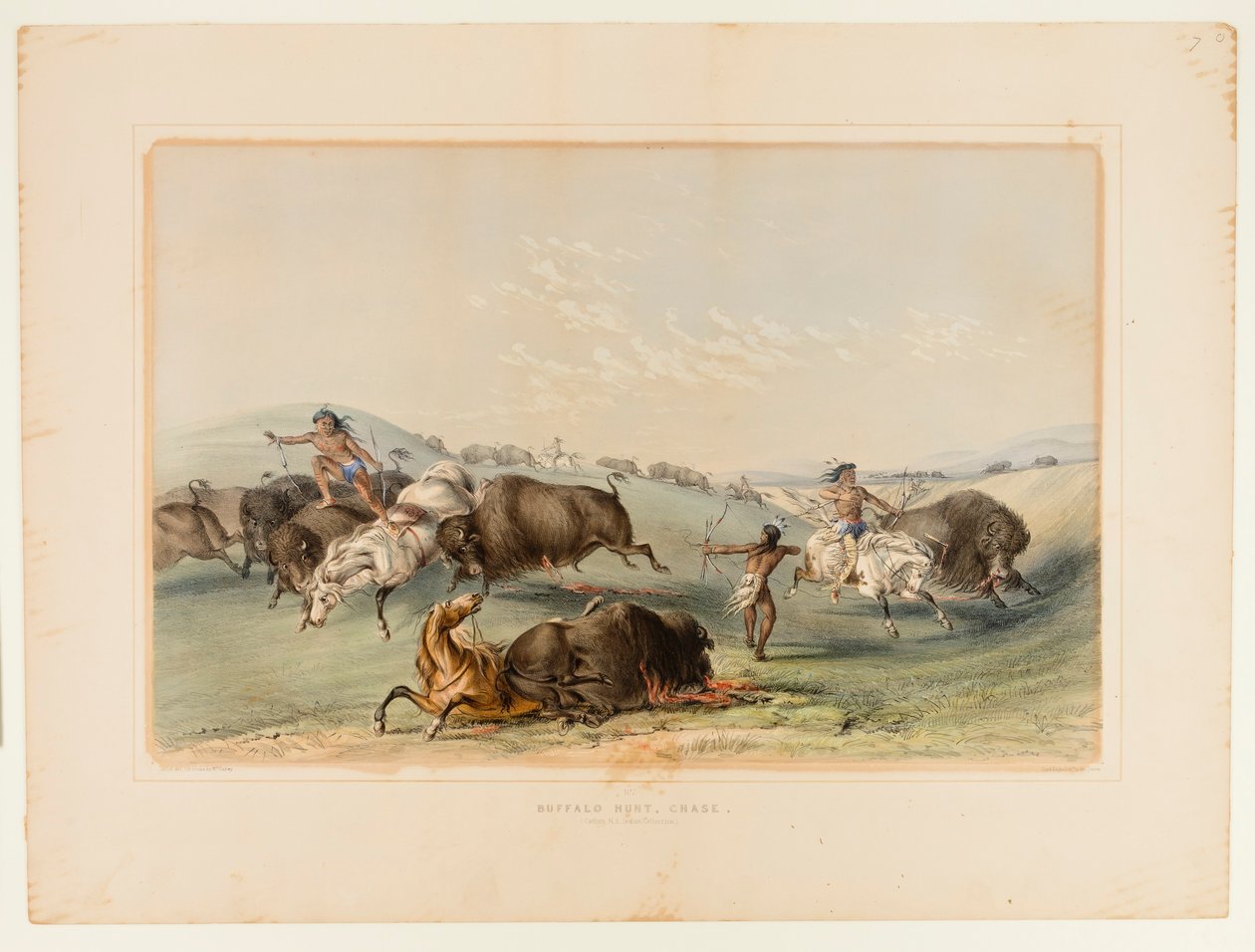 Buffalo Hunt, takaa-ajo nro 7 tekijältä George Catlin