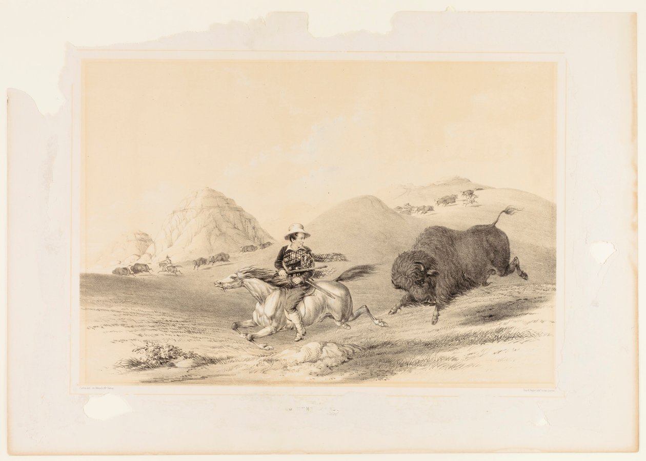 Buffalo Hunt Chasing Back ei. 12 tekijältä George Catlin