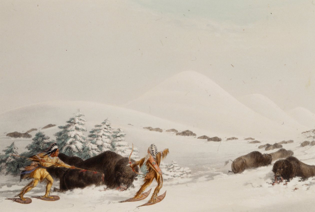 Puhvelinmetsästys lumikengillä tekijältä George Catlin