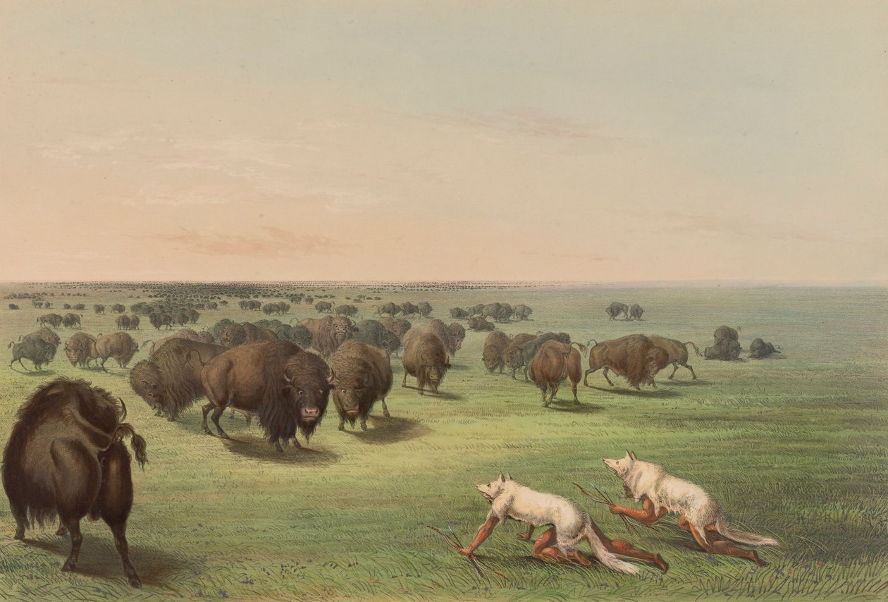 Buffalo Hunt, Wolf Skin, pl. 13 Pohjois-Amerikan intiaaniportfoliosta tekijältä George Catlin