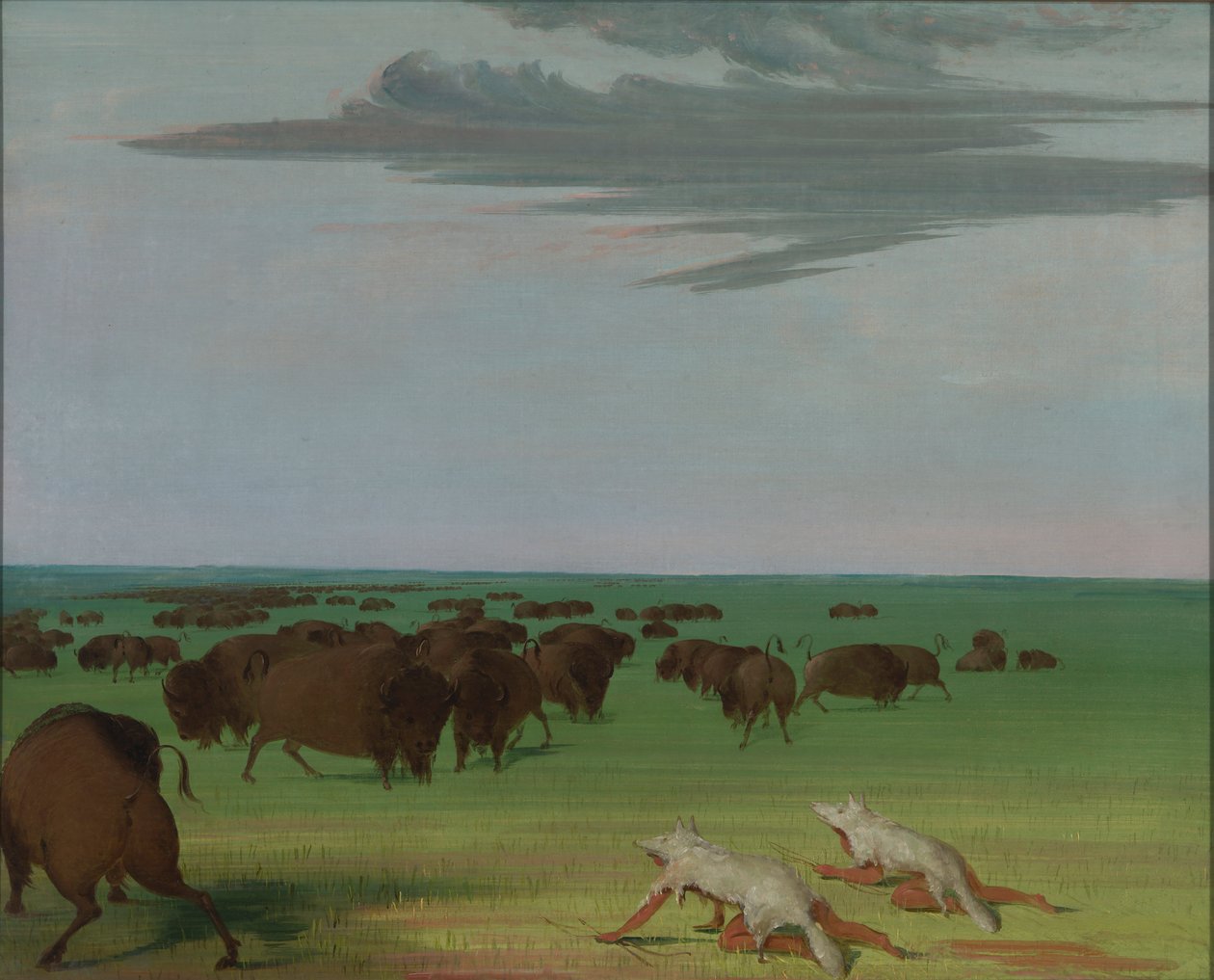 Puhvelin metsästys suden nahkanaamarin alla tekijältä George Catlin