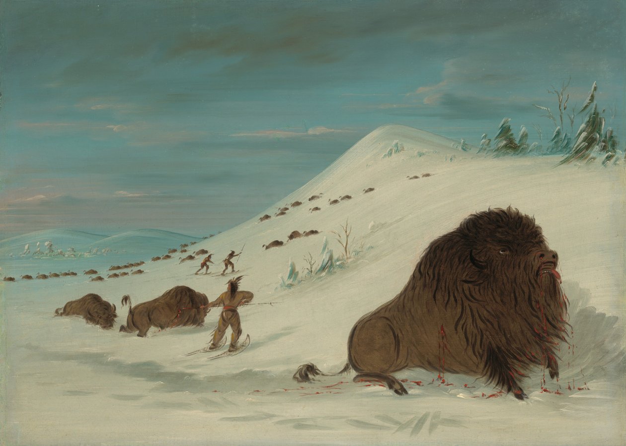 Buffalo Lancing in the Snow Drifs - Sioux, 18611869. tekijältä George Catlin