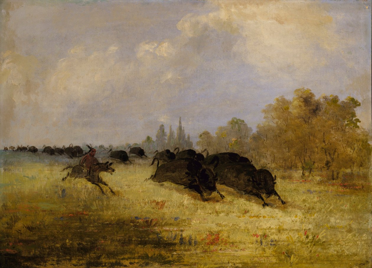 Caddo Indians Chasing Buffalo, Cross Timbers, Texas tekijältä George Catlin