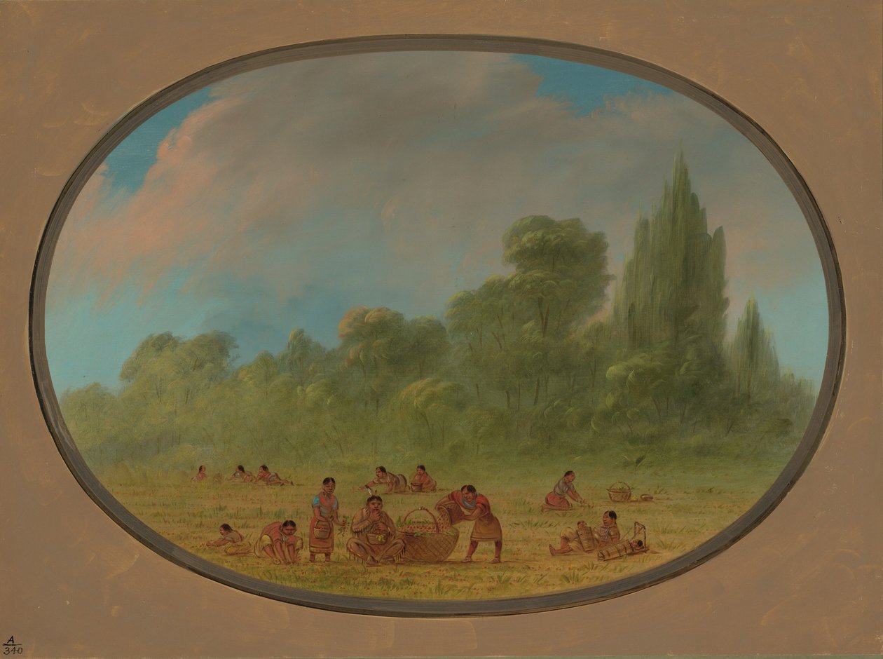 Caddo Indians Gathering Wild Strawberries, 18611869. tekijältä George Catlin