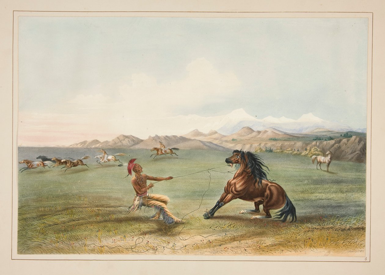 Catching the Wild Horse, pl. 4 Pohjois-Amerikan intiaaniportfoliosta tekijältä George Catlin