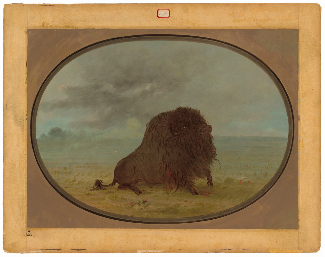 Kuoleva Buffalo Bull tekijältä George Catlin