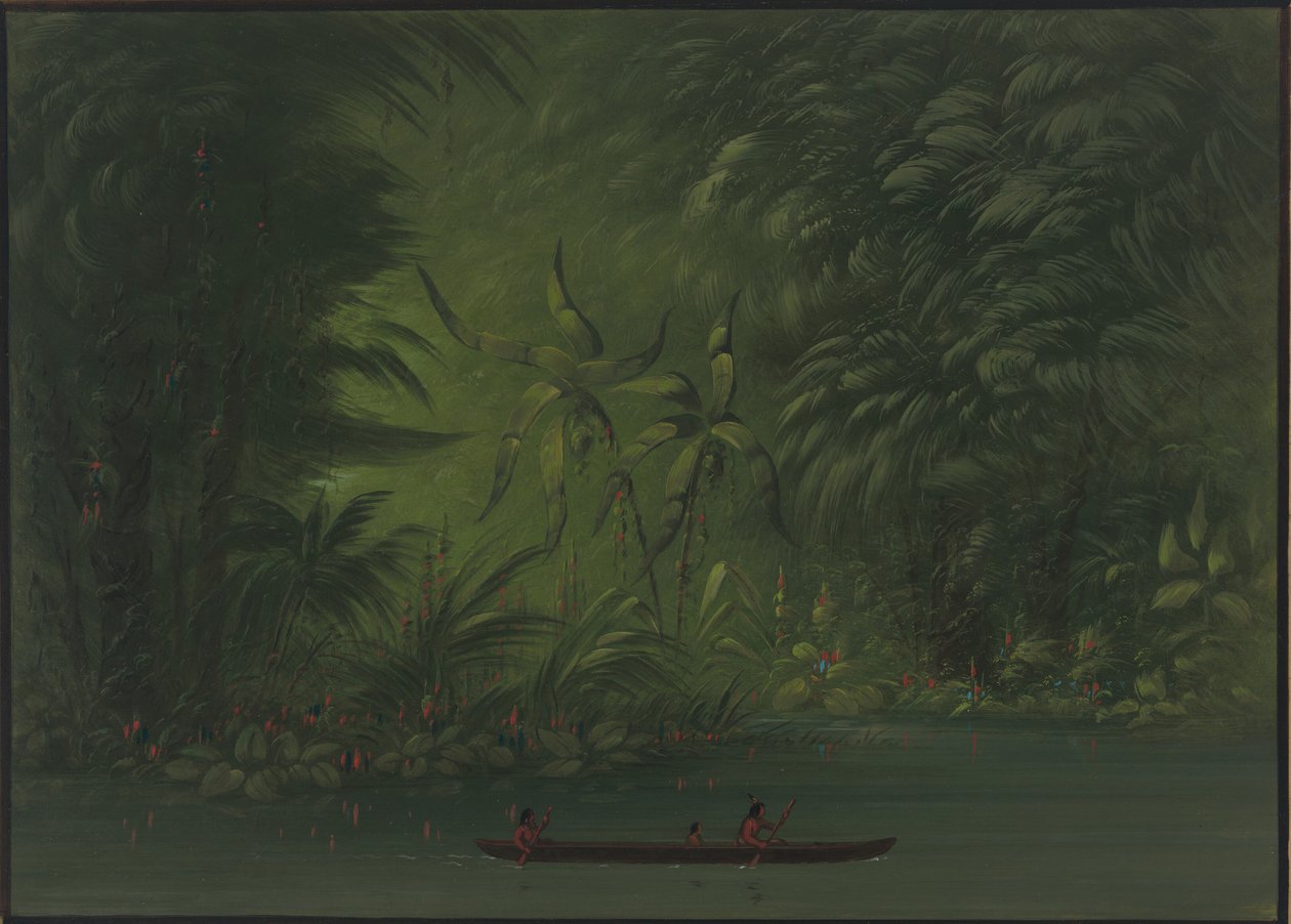 Sisäänkäynti laguuniin, Amazonin ranta, 18541869. tekijältä George Catlin