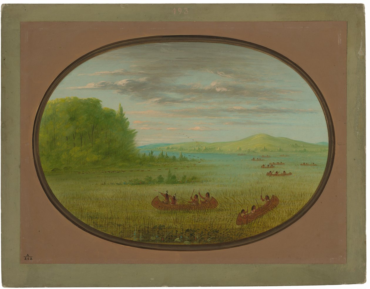 Villiriisin kerääminen - Winnebago tekijältä George Catlin