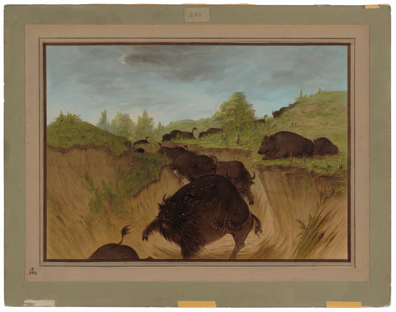 Grizzly Bears hyökkää Buffaloon tekijältä George Catlin