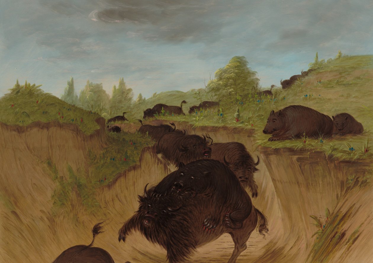 Grizzly Bears Attacking Buffalo, 18611869. tekijältä George Catlin