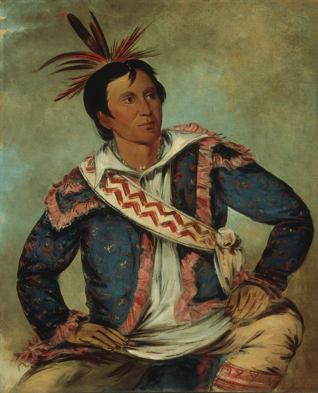Há-tchoo-túc-polvi, Nappulakilpikonna, puoliverinen. tekijältä George Catlin